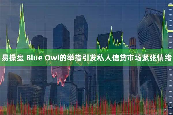 易操盘 Blue Owl的举措引发私人信贷市场紧张情绪