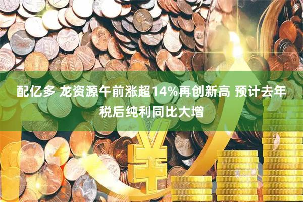 配亿多 龙资源午前涨超14%再创新高 预计去年税后纯利同比大增