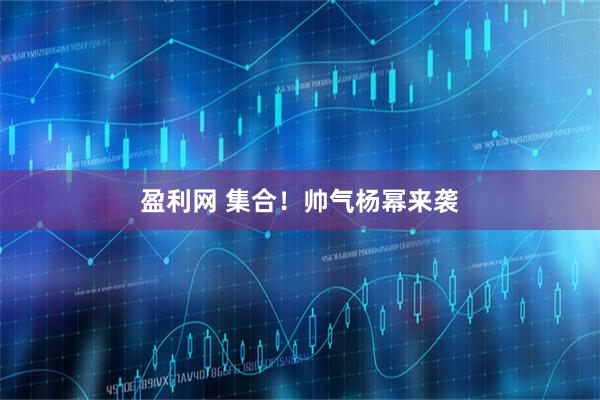 盈利网 集合！帅气杨幂来袭