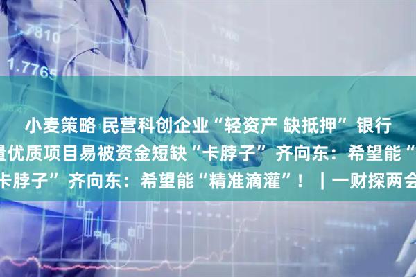 小麦策略 民营科创企业“轻资产 缺抵押” 银行“不敢贷 不愿贷” 大量优质项目易被资金短缺“卡脖子” 齐向东：希望能“精准滴灌”！｜一财探两会