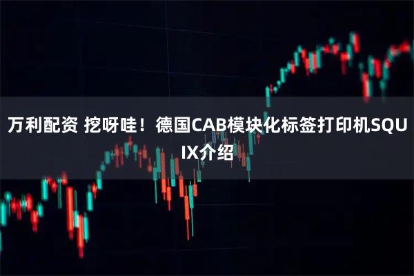 万利配资 挖呀哇！德国CAB模块化标签打印机SQUIX介绍