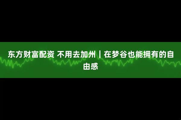 东方财富配资 不用去加州｜在梦谷也能拥有的自由感