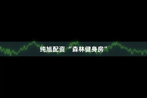 纯旭配资 “森林健身房”
