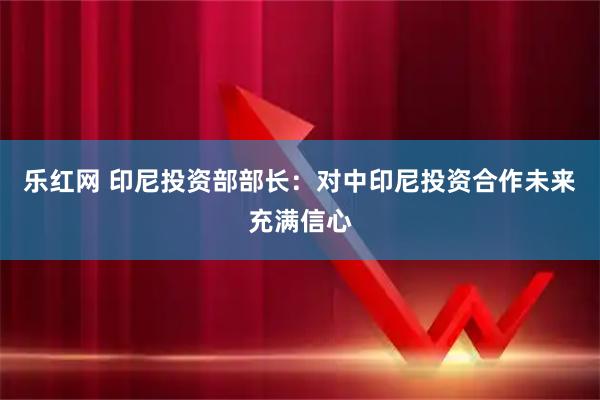 乐红网 印尼投资部部长:对中印尼投资合作未来充满信心