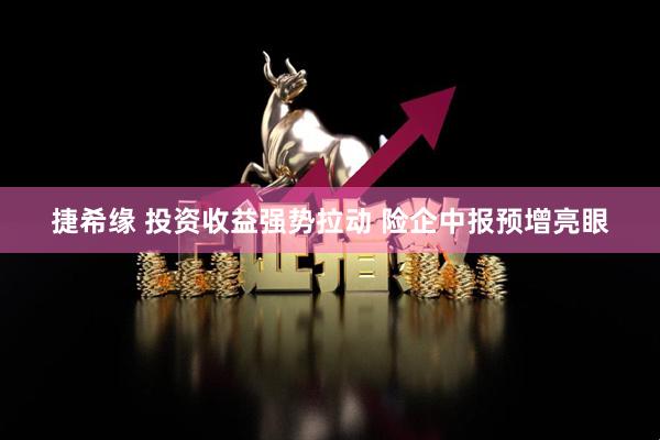 捷希缘 投资收益强势拉动 险企中报预增亮眼