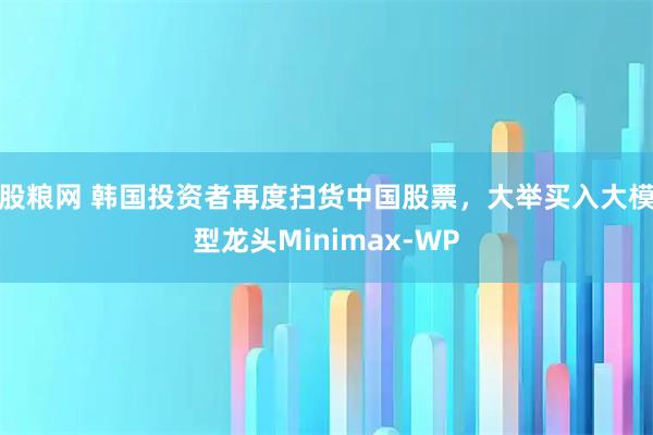 股粮网 韩国投资者再度扫货中国股票，大举买入大模型龙头Minimax-WP