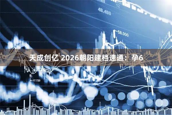 天成创亿 2026朝阳建档速通：孕6