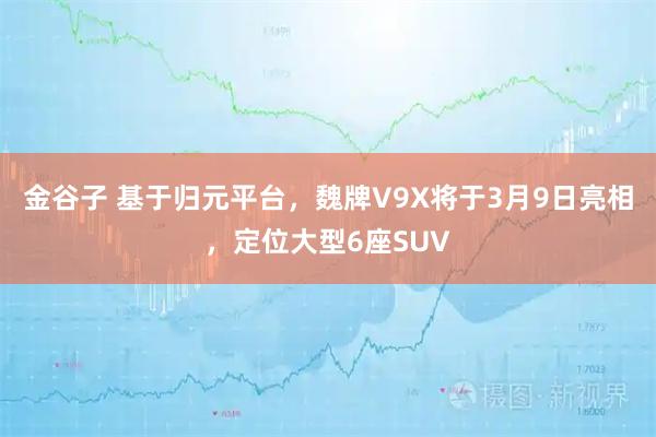 金谷子 基于归元平台,魏牌V9X将于3月9日亮相,定位大型6座SUV