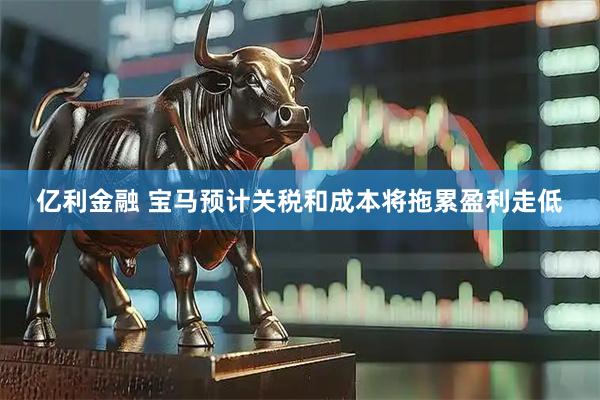 亿利金融 宝马预计关税和成本将拖累盈利走低