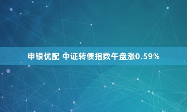 申银优配 中证转债指数午盘涨0.59%
