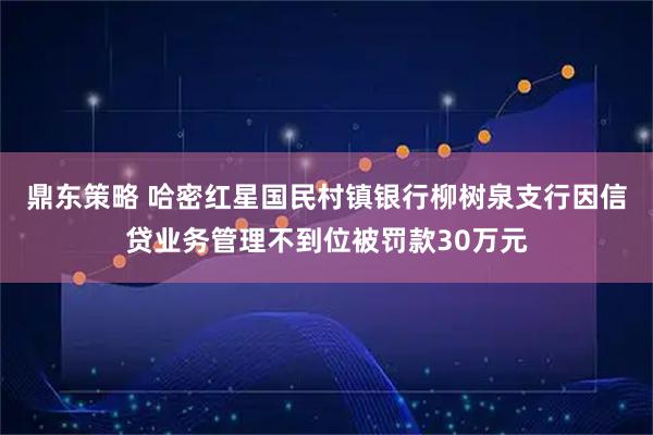 鼎东策略 哈密红星国民村镇银行柳树泉支行因信贷业务管理不到位被罚款30万元
