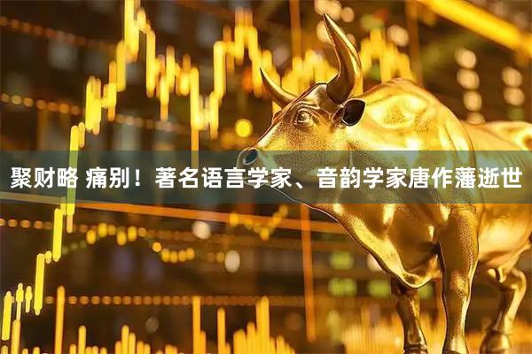 聚财略 痛别！著名语言学家、音韵学家唐作藩逝世