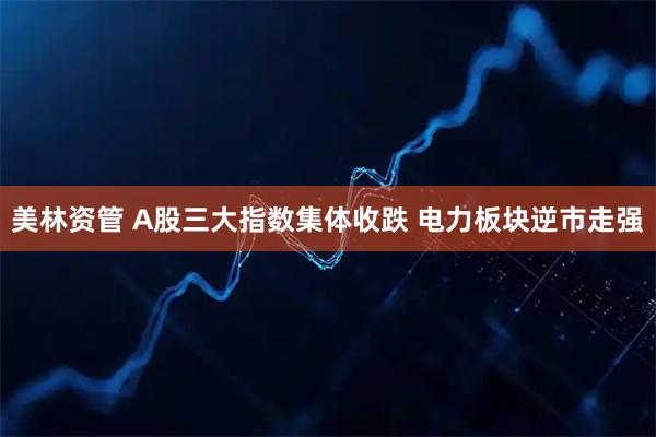 美林资管 A股三大指数集体收跌 电力板块逆市走强